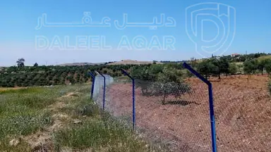 أرض في مادبا - الفيصلية  - 119,000 دأ - صورة NaN